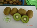 kiwi fruit 3