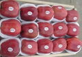 Red delicious apple 2