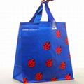 Woven polypropylene shopper bags