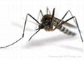 驅虫防蚊加工技術處理劑 1
