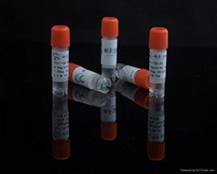 CG甘膽酸標記包被配對單克隆抗體
