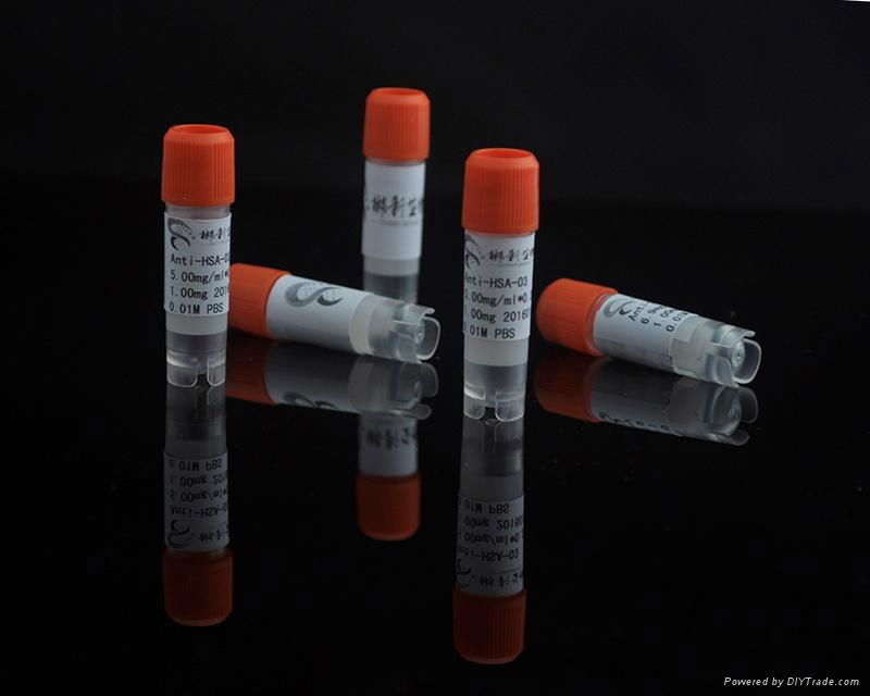 HSA尿微量白蛋白MAU标记包被配对单克隆抗体