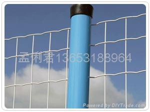 简易荷兰护栏网 3