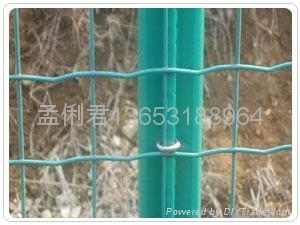 简易荷兰护栏网 4