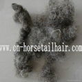 curled horse hair for mattress filling 2