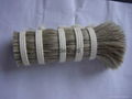 horse tail hair for brush material 1