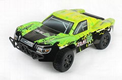 1/8 RC car