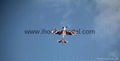 Extreme 3D EPO  plane 1100mm Outdoor aerobatic plane model 12