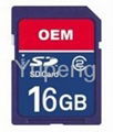 Memory SD  card  