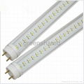 LED Tube Lights Lamp T8,CE,Rohs