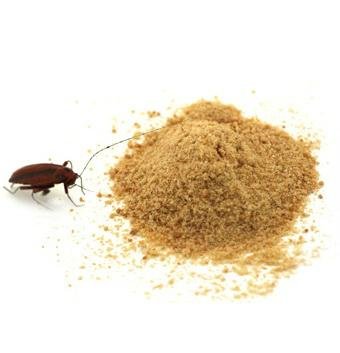 Origial Dahao Brand The Best Cockroach Killing Bait with Classic 6 Gram Green Pa 2