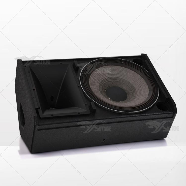 VRX915M 15inch Stage Monitor 2