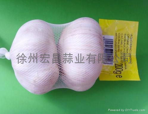 2012 20kg/mesh bag--fresh Chinese Normal White Garlic 5