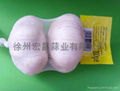 2012 20kg/mesh bag--fresh Chinese Normal White Garlic 5