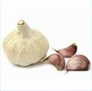 Chinese White Garlic, Pizhou White Garlic