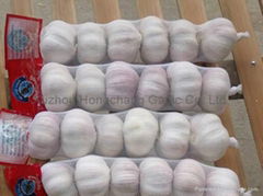 pure white garlic 6.0cm