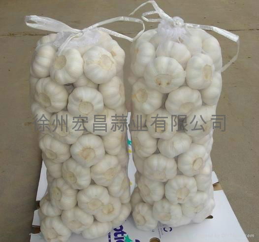 2012 fresh pure white garlic