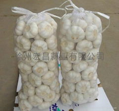 2012 fresh pure white garlic