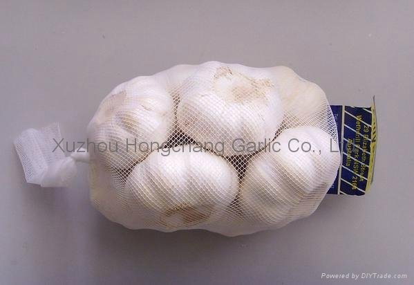 2012 fresh pure white garlic 5