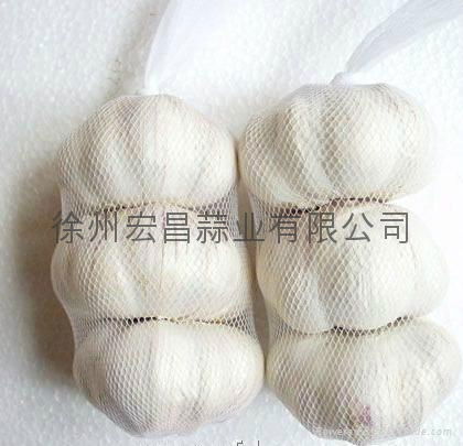 2012 Pizhou fresh white garlic