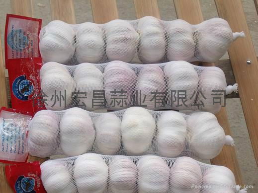 2012 Pizhou fresh white garlic 3