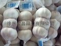 2012 Pizhou fresh white garlic 4