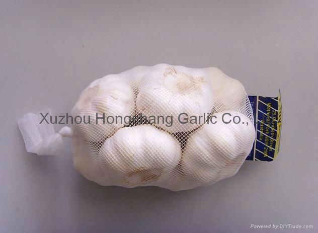 2012 pure white garlic 4