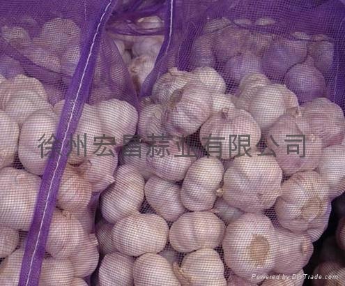 2012 fresh pure white garlic6.0cm 2