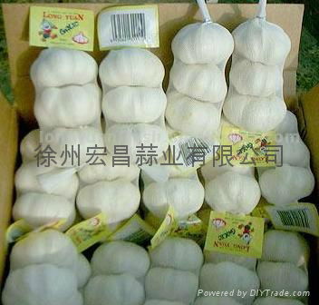2012 fresh pure white garlic6.0cm 5