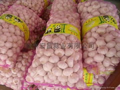 20kg/mesh bag--5.0cm normal white garlic