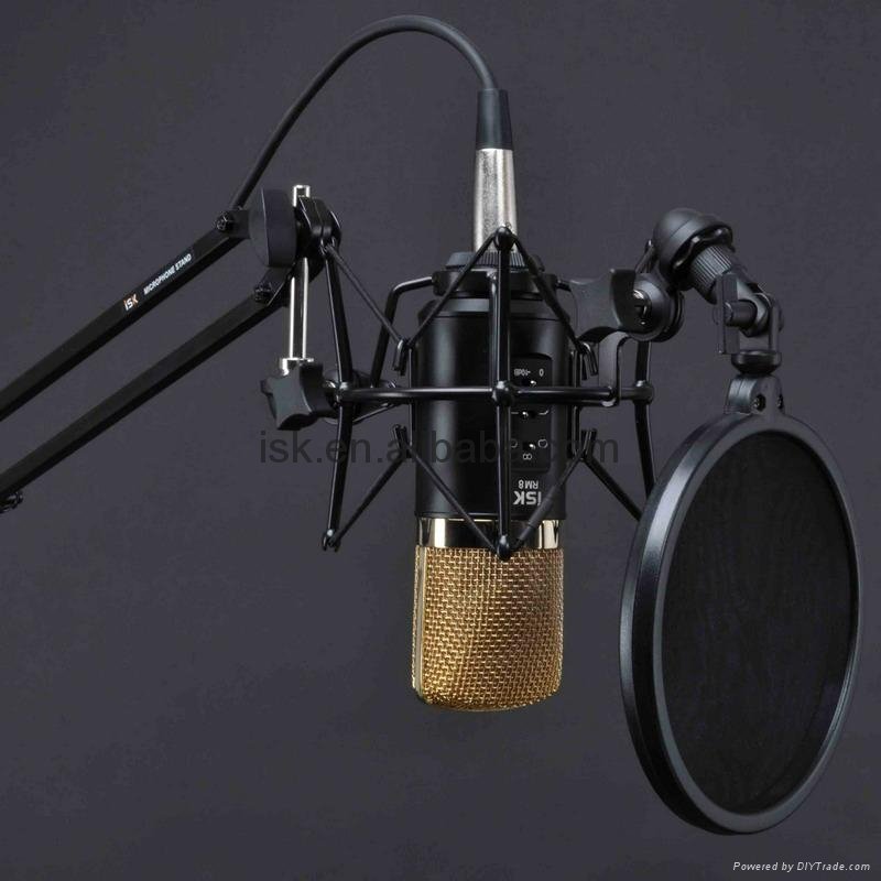 Large Diaphragm Condenser Microphone 2