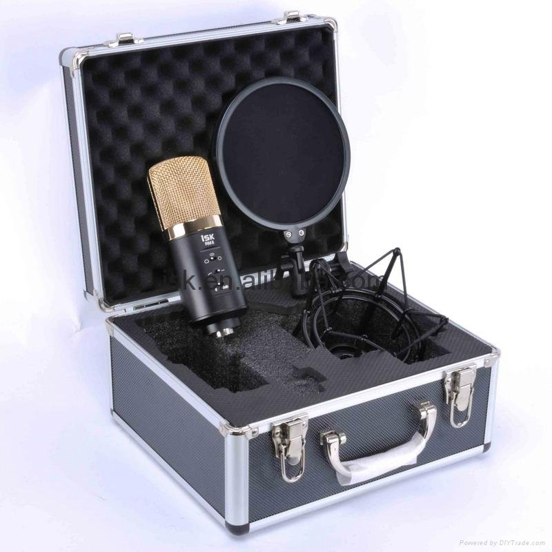 Large Diaphragm Condenser Microphone 3