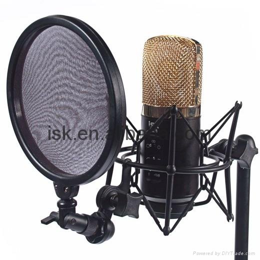 Large Diaphragm Condenser Microphone 4