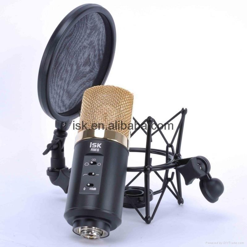 Large Diaphragm Condenser Microphone 5
