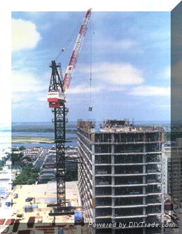 Luffing Tower Crane (D160) max load 6t 2