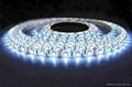 60LEDs SMD5050 Flexible LED lighting strip 1