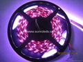 60LED/m  RGB Flexible LED Strip lighting 1