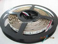 60LED/m  RGB Flexible LED Strip lighting 3