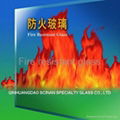 Borosilicate Fire Resistant Glass 4.0