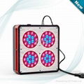 Apollo grow lights 1