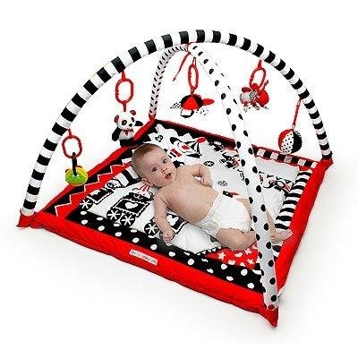 Baby Black, White & Red Activity Play Mat