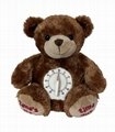Timer Teddy Bear  1