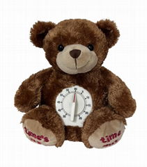 Timer Teddy Bear 