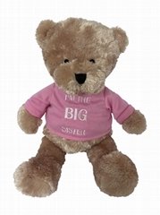 1st Big Sister Teddy Bear