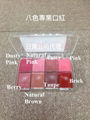 Professional Lip Color Kit