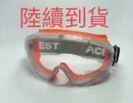  Safety Goggles