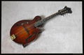 Handmade Mandolin 1