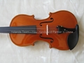 AAAA student violin 4/4 2