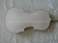 AAAA student violin 4/4 4