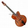 Violin style jazz guitar
